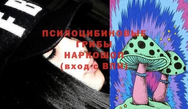 ПСИЛОЦИБИНОВЫЕ ГРИБЫ Лагань