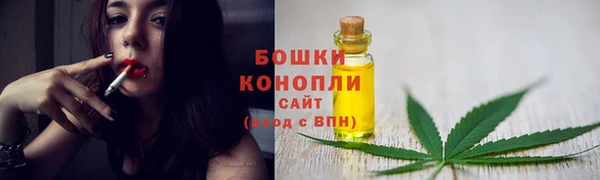 ECSTASY Ладушкин