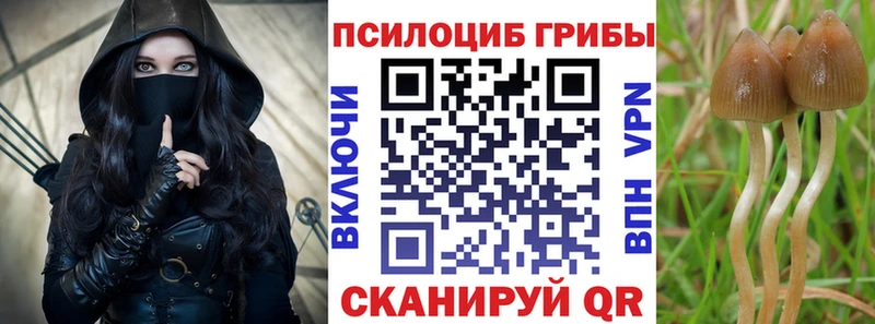 Купить где  Щёкино  Псилоцибиновые грибы Magic Shrooms 